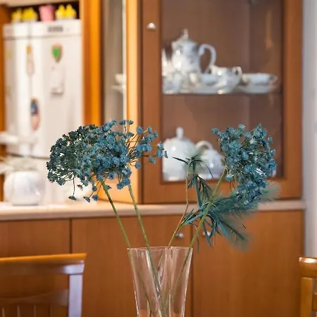 2br Lefkas House Lejlighed